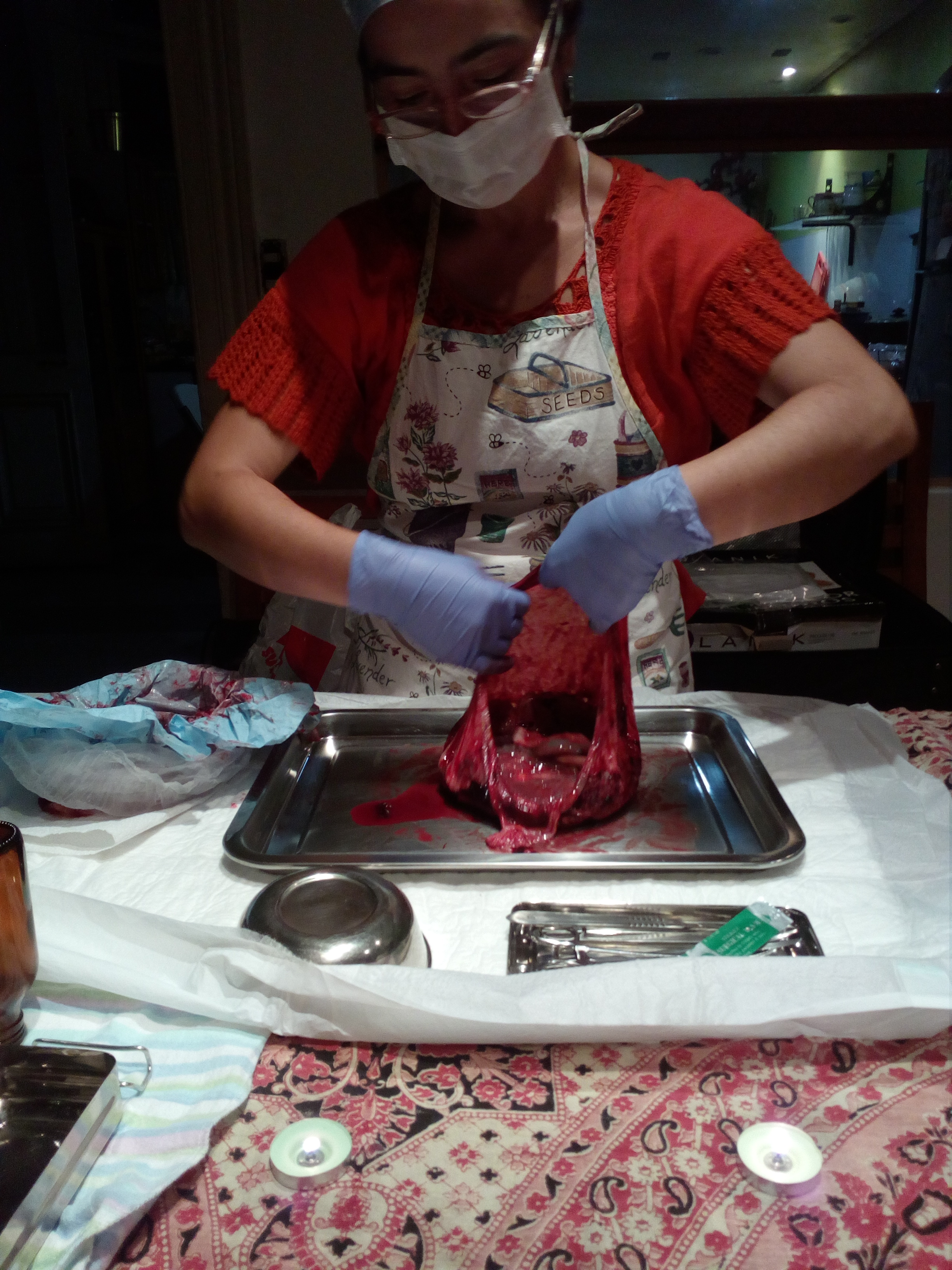 Medicina placentaria